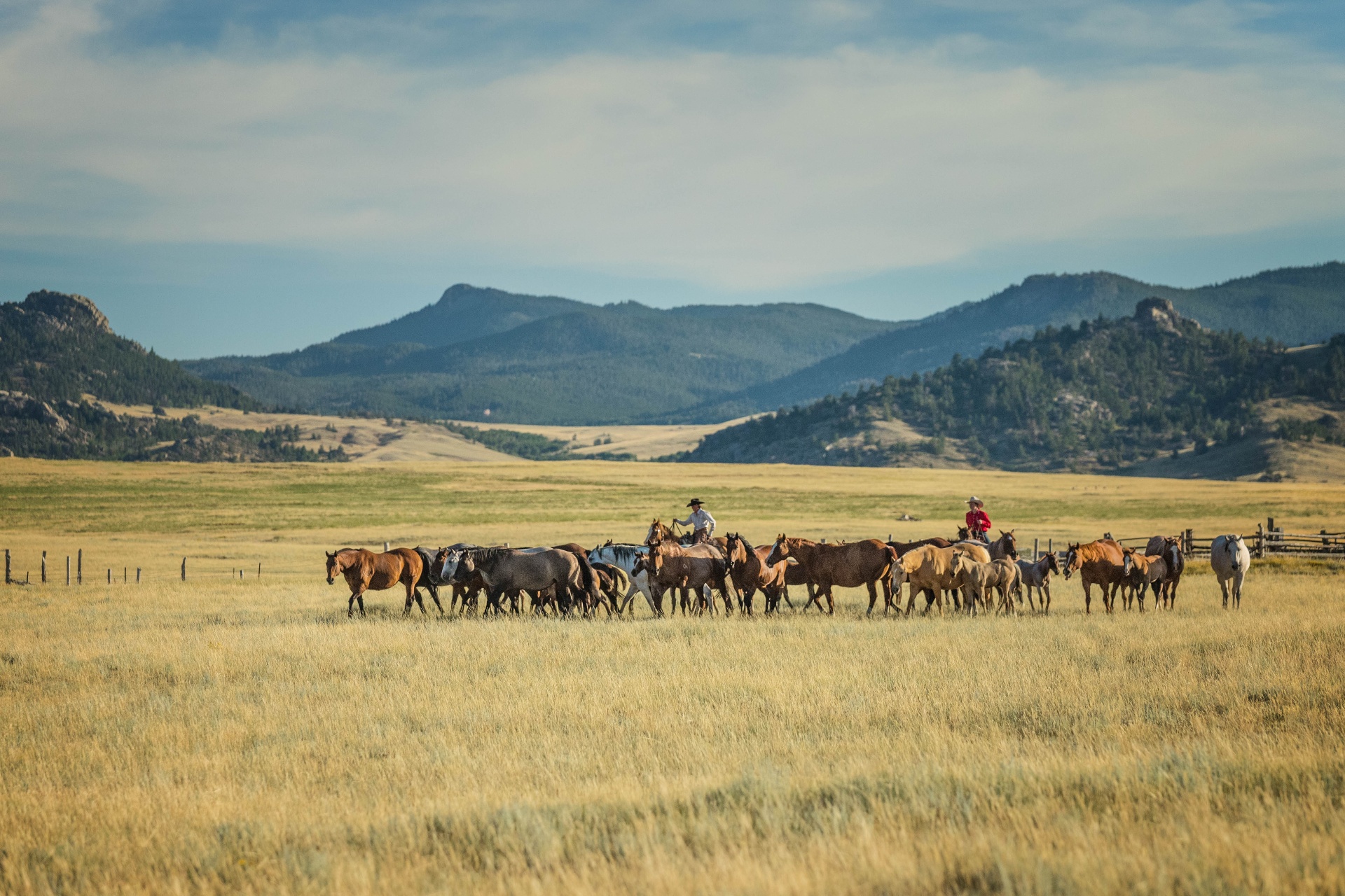 Un Ranche Browse Ranches | VolunteeRanch